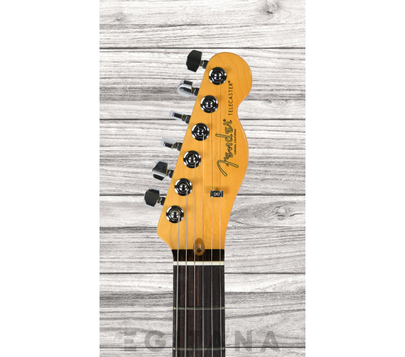 fender-american-pro-ii-tele-myst-sfg_63849b9460729.jpg