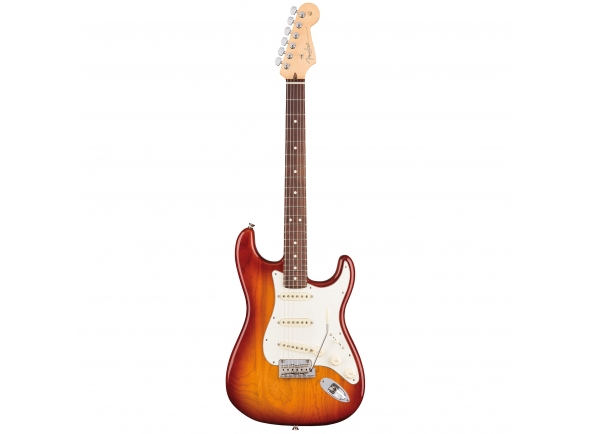 fender-american-pro-strat-ash-hss-mn-ssb_5ebd298842ac7.jpg