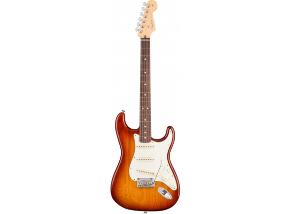 fender-american-pro-stratocaster-rw-ssb-ash_5e30266e18f5a.jpg