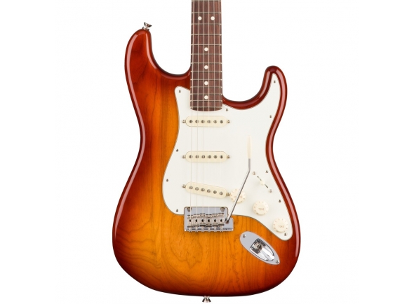 fender-american-pro-stratocaster-rw-ssb-ash_5e30266ec7e30.jpg