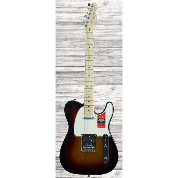 fender-american-pro-telecaster-mn-3-color-sunburst_5e724e21d659f.jpg