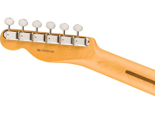 fender-american-professional-classic-hotshot-telecaster-rosewood-fingerboard-butterscotch-blonde_68da89b2e4f06.jpg