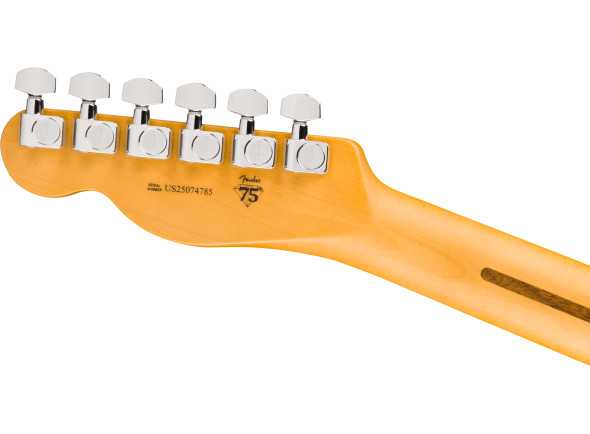 fender-american-professional-hot-shot-telecaster-butterscotch-blonde_6acf3dece5a36.jpg