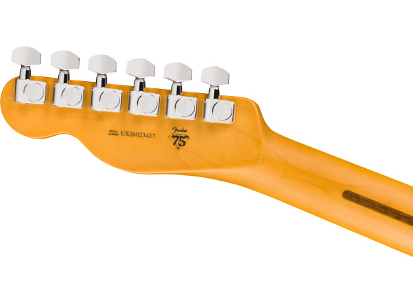 fender-american-professional-hot-shot-telecaster-rw-dark-night_6acf3b95973d7.jpg