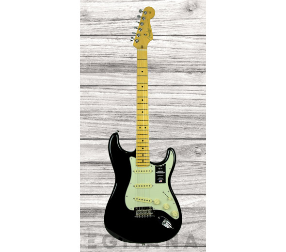 fender-american-professional-ii-maple-fingerboard-black_62307db89b15d.jpg