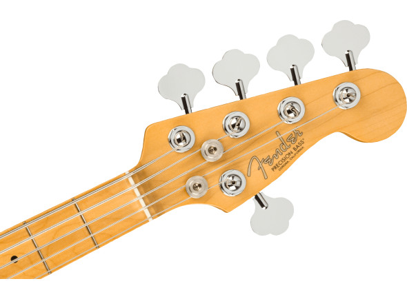 fender-american-professional-ii-precision-bass-v-dark-night_67efc863e16e1.jpg