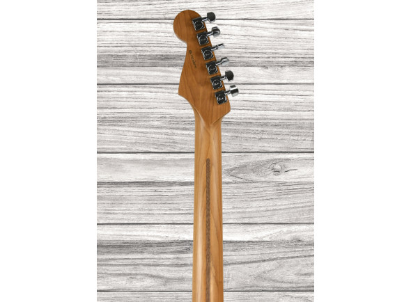 fender-american-professional-ii-roasted-maple-fingerboard-anniversary-2-color-sunburst_65c4ac2df0831.jpg