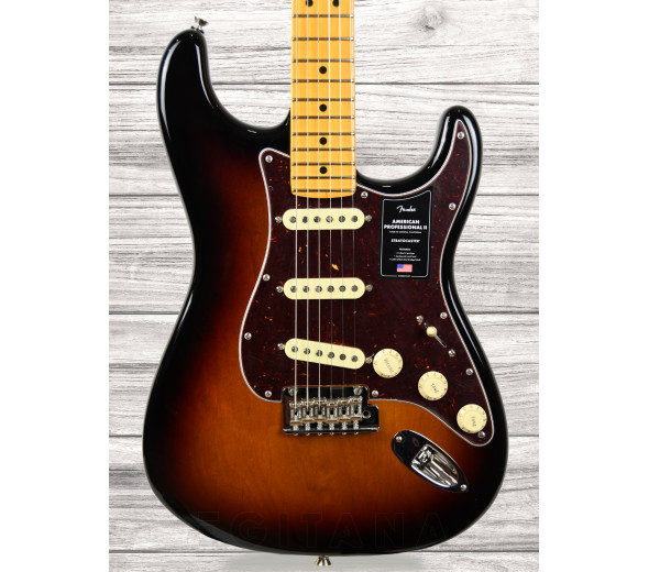 fender-american-professional-ii-stratocaster-mn-3-color-sunburst_60e470ed8dc8d.jpg