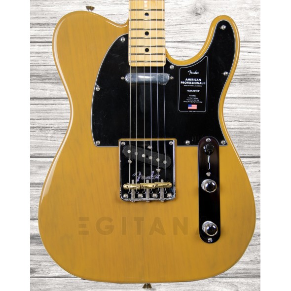 fender-american-professional-ii-telecaster-mn-butterscotch-blonde_5f8f1518114f3.jpg