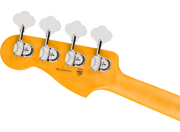 fender-american-professional-precision-bass-rw-dark-night_6acf45c478f79.jpg