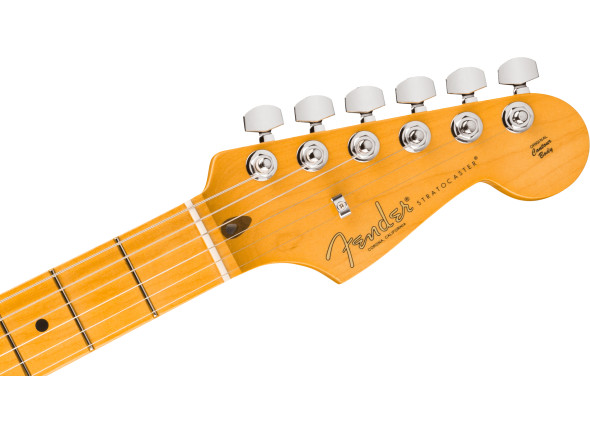 fender-american-professional-stratocaster-dark-night_6ace56d1b209a.jpg