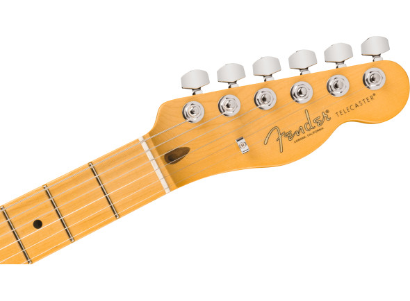 fender-american-professional-telecaster-butterscotch-blonde_6ace428c0f180.jpg