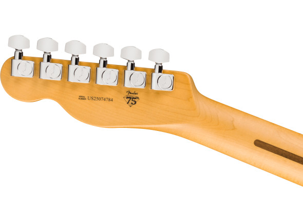 fender-american-professional-telecaster-butterscotch-blonde_6ace428e4c3b1.jpg