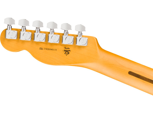 fender-american-professional-telecaster-rw-dark-night_6ace5b2909e7f.jpg