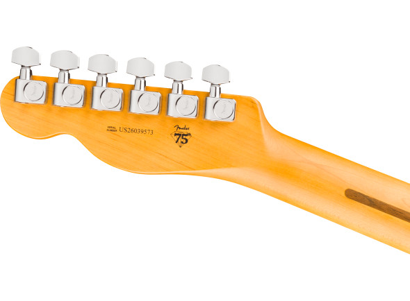 fender-american-professional-telecaster-rw-natural_6ace4042ac62b.jpg