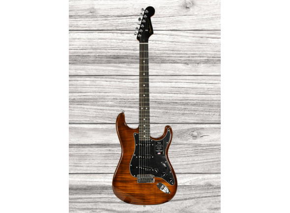 fender-american-ultra-ltd-strat-eby-tgr_65d76549aec34.jpg