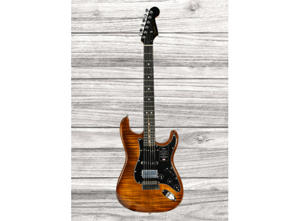 fender-american-ultra-ltd-strat-hss-eby-tgr_65d5e9d820d21.jpg