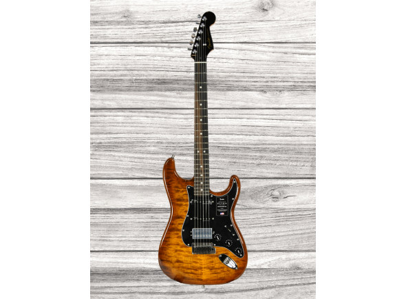 fender-american-ultra-ltd-strat-hss-eby-tgr_65d5e9f752c38.jpg