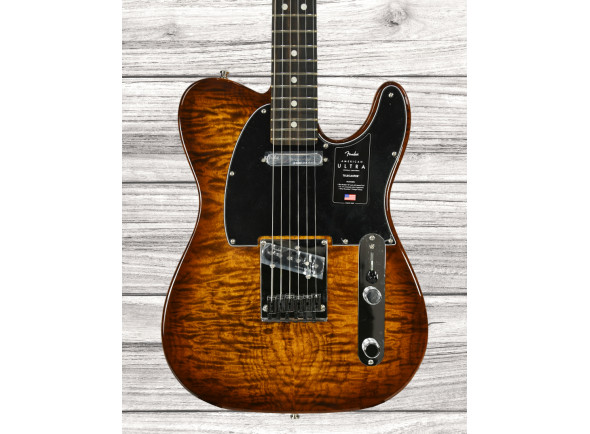 fender-american-ultra-ltd-tele-eby-tgr_65d627b5d6b51.jpg