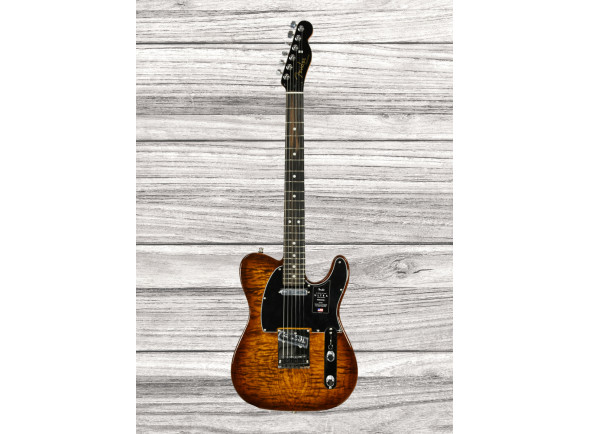 fender-american-ultra-ltd-tele-eby-tgr_65d627bdc0c79.jpg