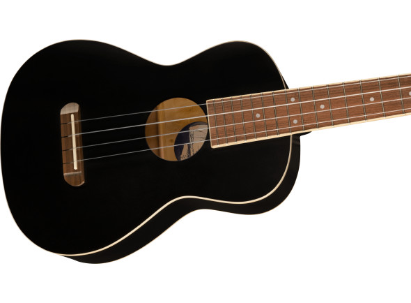 fender-avalon-tenor-ukulele-black_62b1ec486a59a.jpg