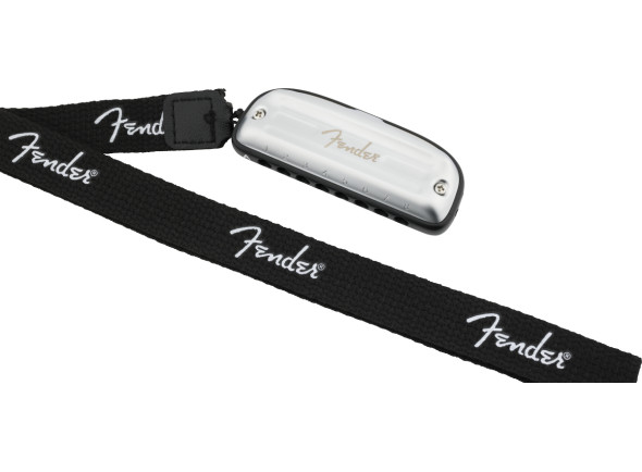 fender-blues-junior-diatonic-8h-c-fender_67d98c623144c.jpg