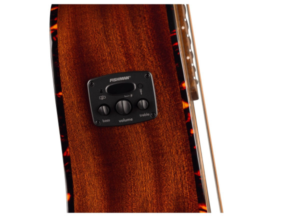 fender-california-deluxe-newporter-ce-pickguard-tortoiseshell-natural_6a883c25d405f.jpg