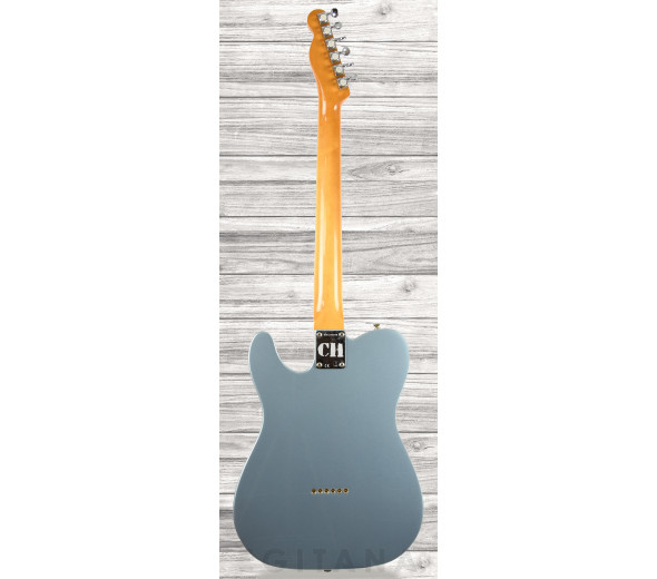 fender-chrissie-hynde-tele-rw-ibm_60e86ac5dad30.jpg