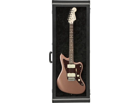 fender-guitar-display-case-bk_67404a82e9ac3.jpg