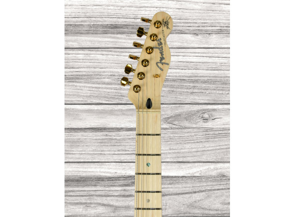 fender-kotzen-telecaster-bsb_65d8adfad4fd5.jpg