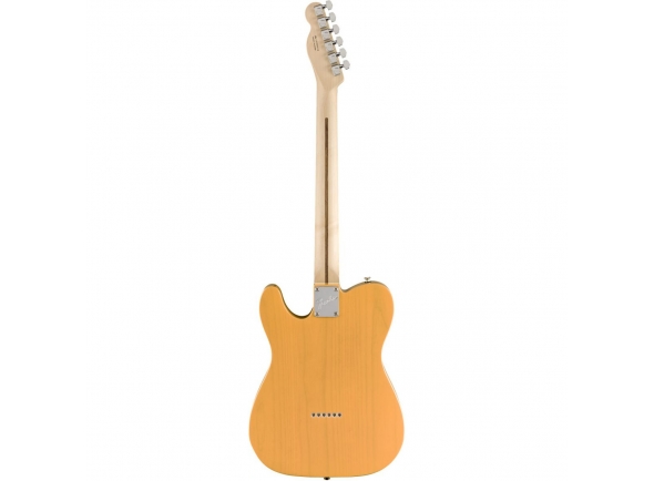 fender-limited-edition-american-performer-telecaster-mn-butterscotch-blonde_5df78d2702bbf.jpg