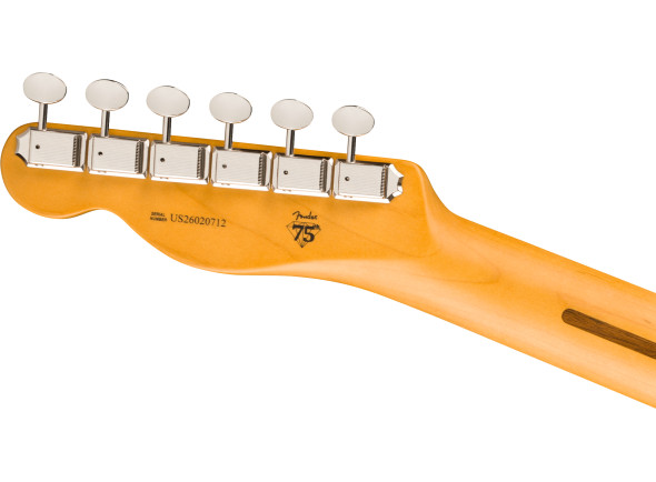 fender-limited-edition-american-professional-classic-telecaster-silent-system-vbl_6ab249d90a91d.jpg