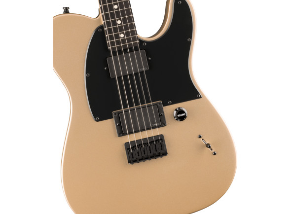 fender-limited-edition-jim-root-telecaster-eb-shoreline-gold_6a3d382e3f158.jpg