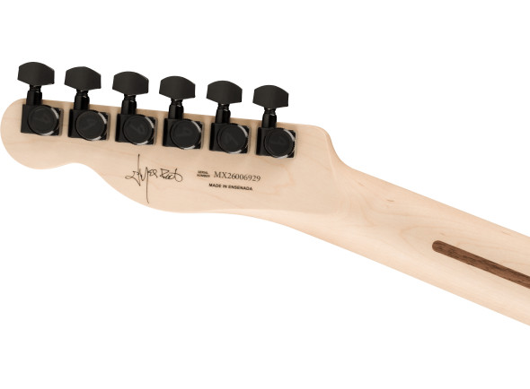fender-limited-edition-jim-root-telecaster-eb-shoreline-gold_6a3d38374e93f.jpg