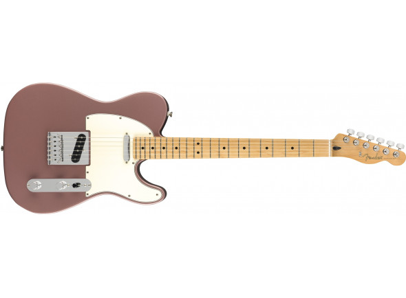 fender-limited-edition-player-burgundy-mist-maple_60880f6ebda9e.jpeg