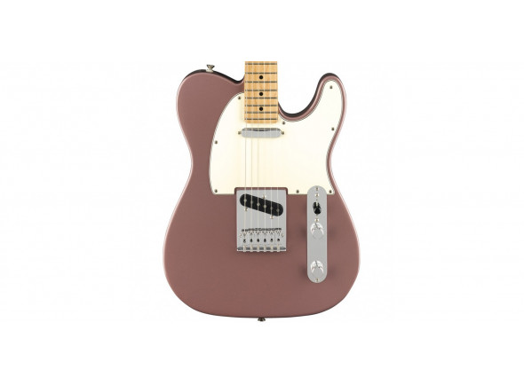 fender-limited-edition-player-burgundy-mist-maple_60880f6f78969.jpg