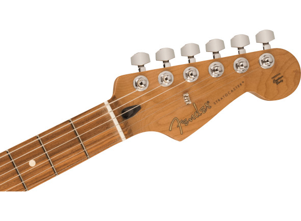 fender-limited-edition-player-pau-ferro-fingerboard-black_65c50830b4c8c.jpg