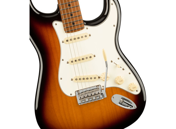 fender-limited-edition-player-roasted-maple-fingerboard-2-color-sunburst_65c50d6167590.jpg