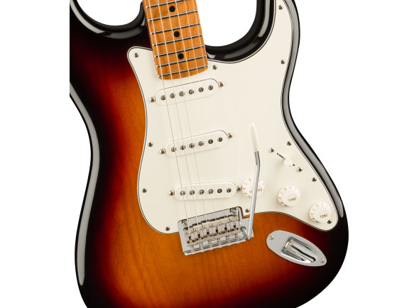 fender-limited-edition-player-st-sss-roasted-maple-neck_64d49eb89998f.jpg