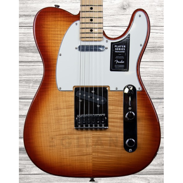 fender-limited-edition-player-telecaster-plus-top-sienna-sunburst-_5f7339555923e.jpg