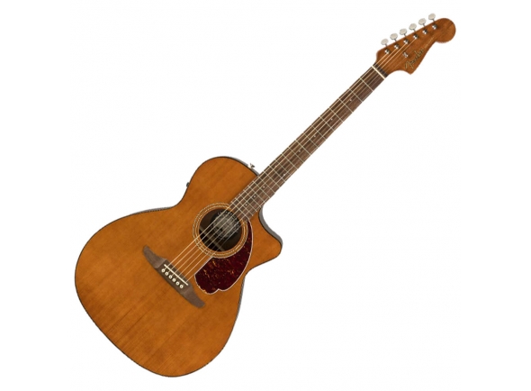 fender-ltd-newporter-player-mocha_5da49470dab0a.jpg