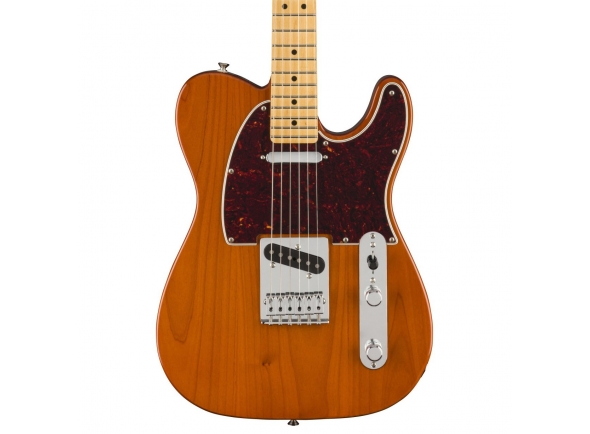 fender-ltd-player-tele-mn-aged-nat_5eb18b24a1475.jpg