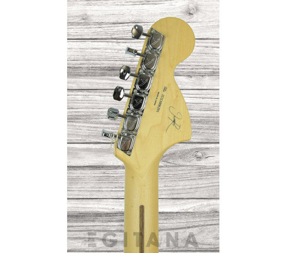 fender-michiya-haruhata-stratocaster_61b882d8044db.jpg