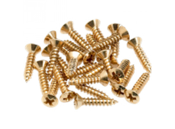 fender-pickguard-screws-gold_604f95ceac464.jpg