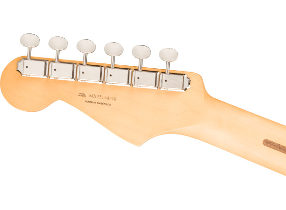 fender-player-ii-stratocaster-hss-mn-cactus-gray_6a33efa34e2e8.jpg