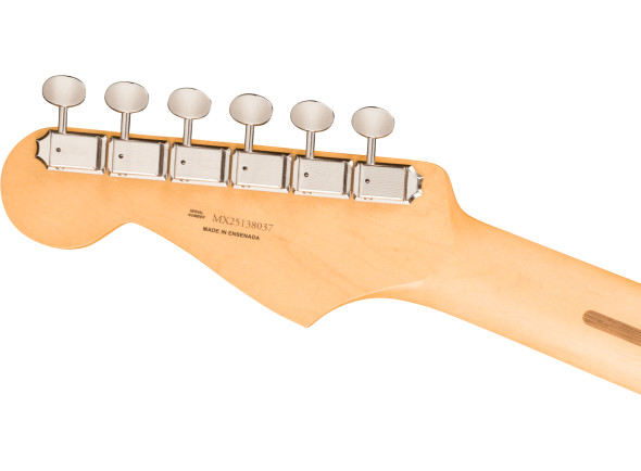fender-player-ii-stratocaster-rw-cactus-gray_6a33cf5641eaa.jpg