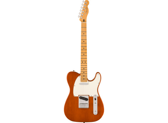 fender-player-ii-telecaster-maple-fingerboard-mocha_671a53f6ba92b.jpg