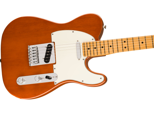 fender-player-ii-telecaster-maple-fingerboard-mocha_671a53ff4c329.jpg