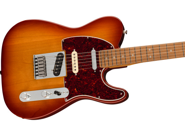 fender-player-plus-nashv-mn-tele-siena-sunburst_64da041463d6a.jpg