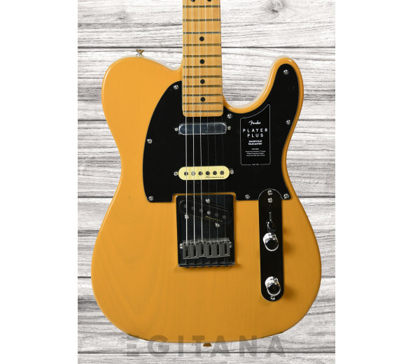 fender-player-plus-nashville-butterscotch-blonde_63511122529fe.jpg